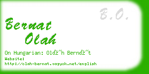 bernat olah business card